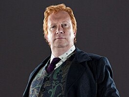 Mark Williams ve filmu Harry Potter a Relikvie smrti - �ást 1 (2010)
