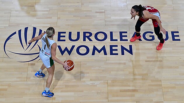 Zaragoza pahasına žabin basketbol kasırgası: Çek yardımcısı -champion euroLeague'e acele ediyor