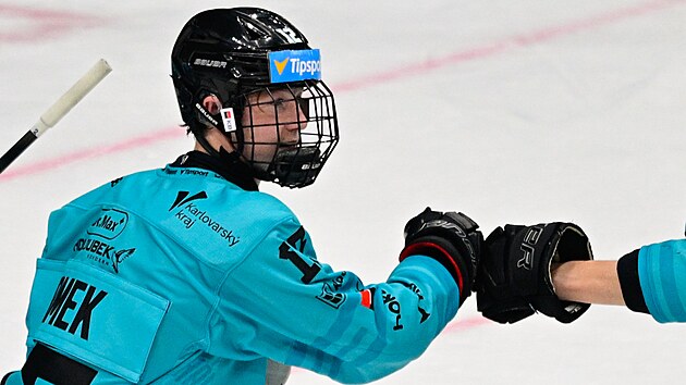 Karlovarsk Petr Tomek se raduje z vhry proti Spart.