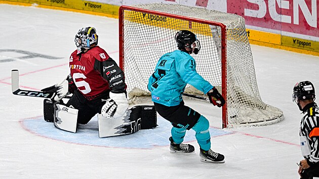 Hokey yeteneği Petr Tomek, Vary, NHL, antrenörler ve tevazu üzerine