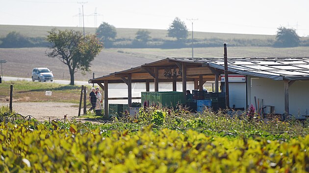 Mlad farmi v tchovikch prodvaj sv produkty pmo na poli hned u silnice.
