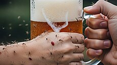 Odjakiva se traduje, e kdo pije pivo, komái na nj nejdou. Vdci toto...