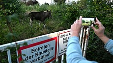 Los Emil v rakouském St. Pöltenu (6. záí 2025)