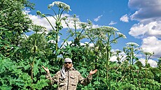 Bol�evník velkolepý se �p�ist�hoval� z Asie a je proslulý nejen jako agresor,...