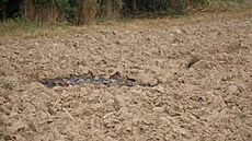 ásti pokozeného bezpilotního letounu sesteleného polskými úady leí poblí...