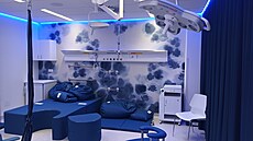 V Litomicích oteveli opravenou porodnici. (16. záí 2025)