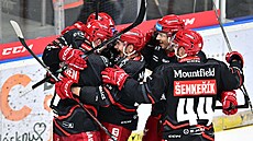 Hrái Hradce Králové se radují z gólu do sít Plzn. Ve tvrtém kole extraligy...