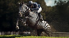 �Pozor, zebra!� vyrazí na Velkou pardubickou a p�ipomene d�le�itost bezpe�nosti...