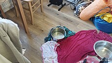 Do nkterých byt v Oblé ulici v brnnském Novém Lískovci zatéká voda kvli...