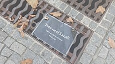 Cedule, která kolemjdoucí, ale pedevím trhovce upozoruje, e se nejedná o...