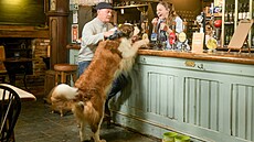 Hospoda The Foresters Arms v New Forest ve Velké Británii. (11. zá�í 2025)