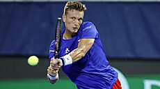Ji�í Lehe�ka v zápase Davis Cupu proti Spojeným stát�m.