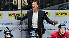 Trenér Pavel Gross ze Sparty se roziluje v utkání s Tincem.