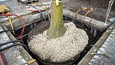 Zelená eení pro udritelná mstská prostedí - Wavin TreeTank