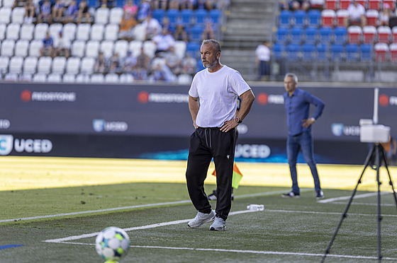 Teplický kou Zdenko Frala bedliv pozoruje dní na trávníku v Olomouci.