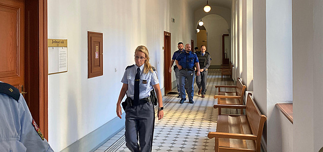 Za vraždu milenky sekerou nejméně 25 let, navrhl žalobce trest pro lékaře