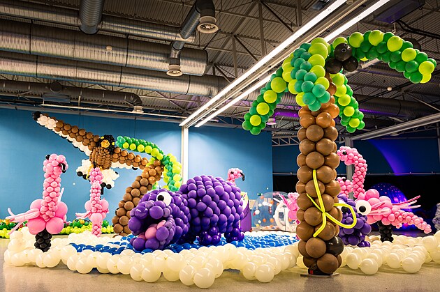 Nejv�t�� bal�nkov� v�stava v �esku: BalonFest