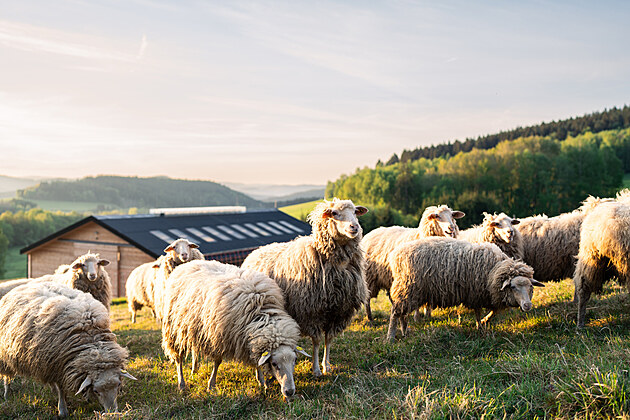 Podzim jako z poh�dky. Jen kousek od V�s � na Lipn�