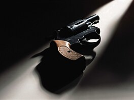 Slogany byly úderné, grafika drsná a emoce silné. �Chra�te na�e �ivoty!� volali...