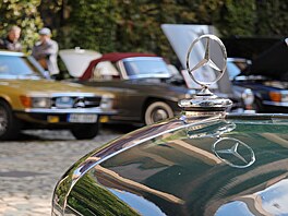 21. Vinobraní s Mercedesy