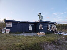 Je libo sobí ki, lebku nebo snad parohy? V této etap jsem popel vechny...