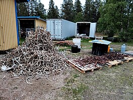 Hromada paroí... Asi se tu s tím keftuje. Ani na této farm, kdy jsem tam v...