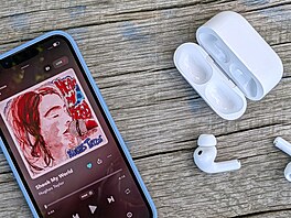 Apple AirPods Pro 3