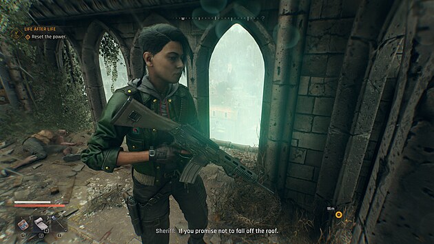 Dying Light: The Beast
