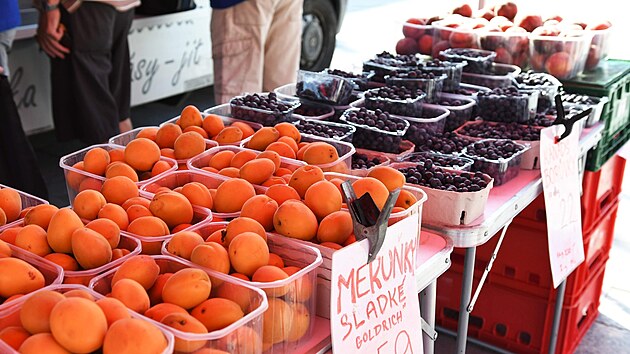 Organizace trh na nmst ve Valaskm Mezi el kritice.