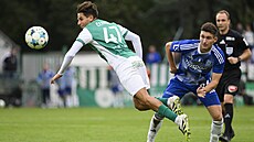 Olomoucký David Tká zkouí zakonit pes domácího ermáka.