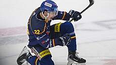 eskobudjovický Koláek se raduje gólu do sít Komety.