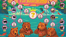 Fat Bear Week 2025. �eka byla letos plná losos� zhruba �est týdn�, co� medv�d�m...