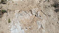 Kaolin je v lese u Staré �ervené Vody doslova v�ude.