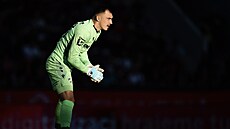 Plze�ský branká� Martin Jedli�ka v akci na pra�ské Letné