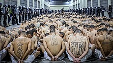 A co jejich obti? Rozruch kolem vznní salvadorských gangster úpln zakryl,...