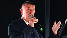 Hnutí ANO na pedvolební kampani v Praze. Na snímku Andrej Babi. (29. záí...