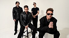Kapela Papa Roach