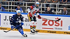 Robert Kousal a Hynek Zohorna sledují kotou,