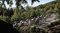 Závodníci bhem poslední etapy Road Classics, která mla cíl na Jetdu.