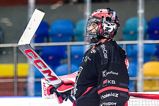 Branká Hradce Králové Stanislav korvánek bhem utkání proti Litvínovu.