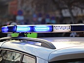 V�z srbské policie (ilustra�ní foto)