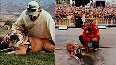 Svt Formule 1 v slzách, Lewis Hamilton se louí se svým buldokem