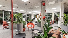 Skupiny kvtiná plných zelen zútulují interiér, ale zárove zlepují i...