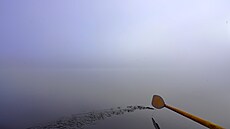 Hlavním vesla�em byl syn.