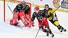 Branká Hradce Králové Stanislav korvánek sleduje situaci ped svou branku...