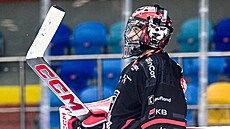 Branká Hradce Králové Stanislav korvánek bhem utkání proti Litvínovu.