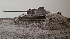 Nmecký tank Panther G vyazený na poli u Klenovic na Hané na Prostjovsku.