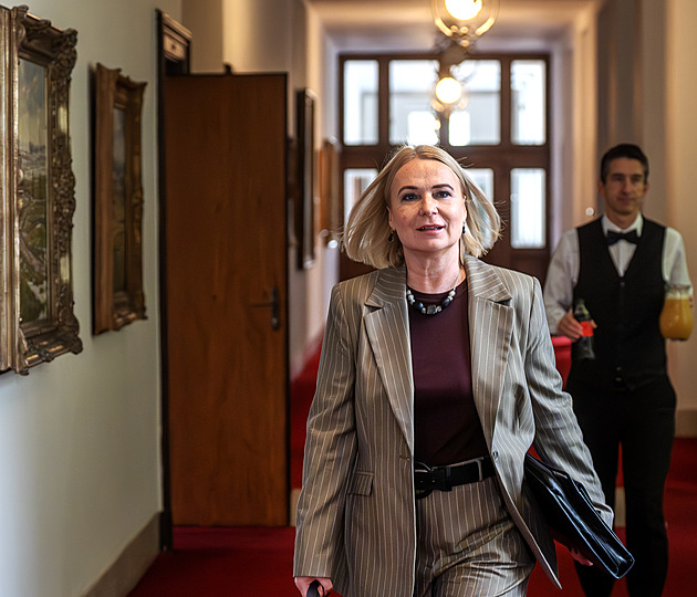 Rajchlova mučednická poloha je směšná, videa sám šířil, napsala Černochová