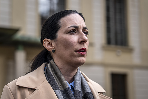 TOP 09 zvolí nového šéfa. Loučící se Pekarovou Adamovou chce nahradit Havel