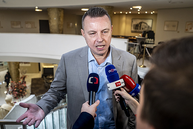 Babiš a Okamura nejsou nadlidé, mají chtít být vydáni, soudí Šebelová. Rajchl je bránil